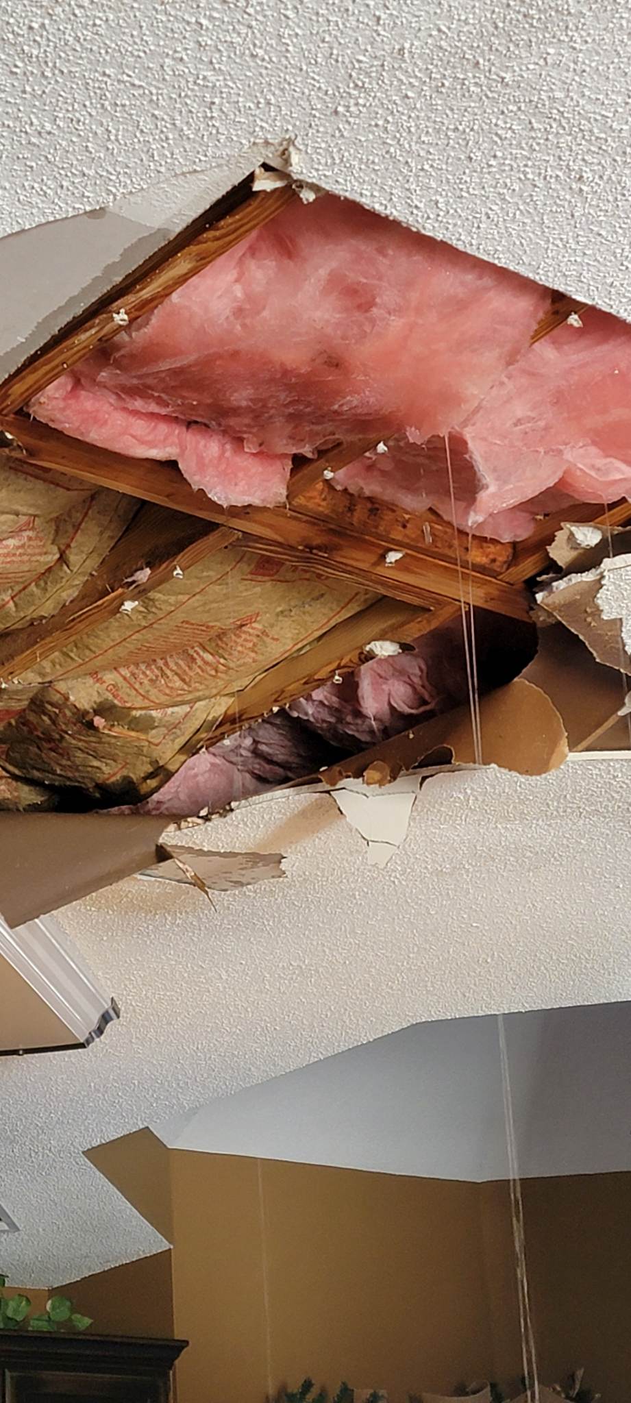 Restoration and cleanup job