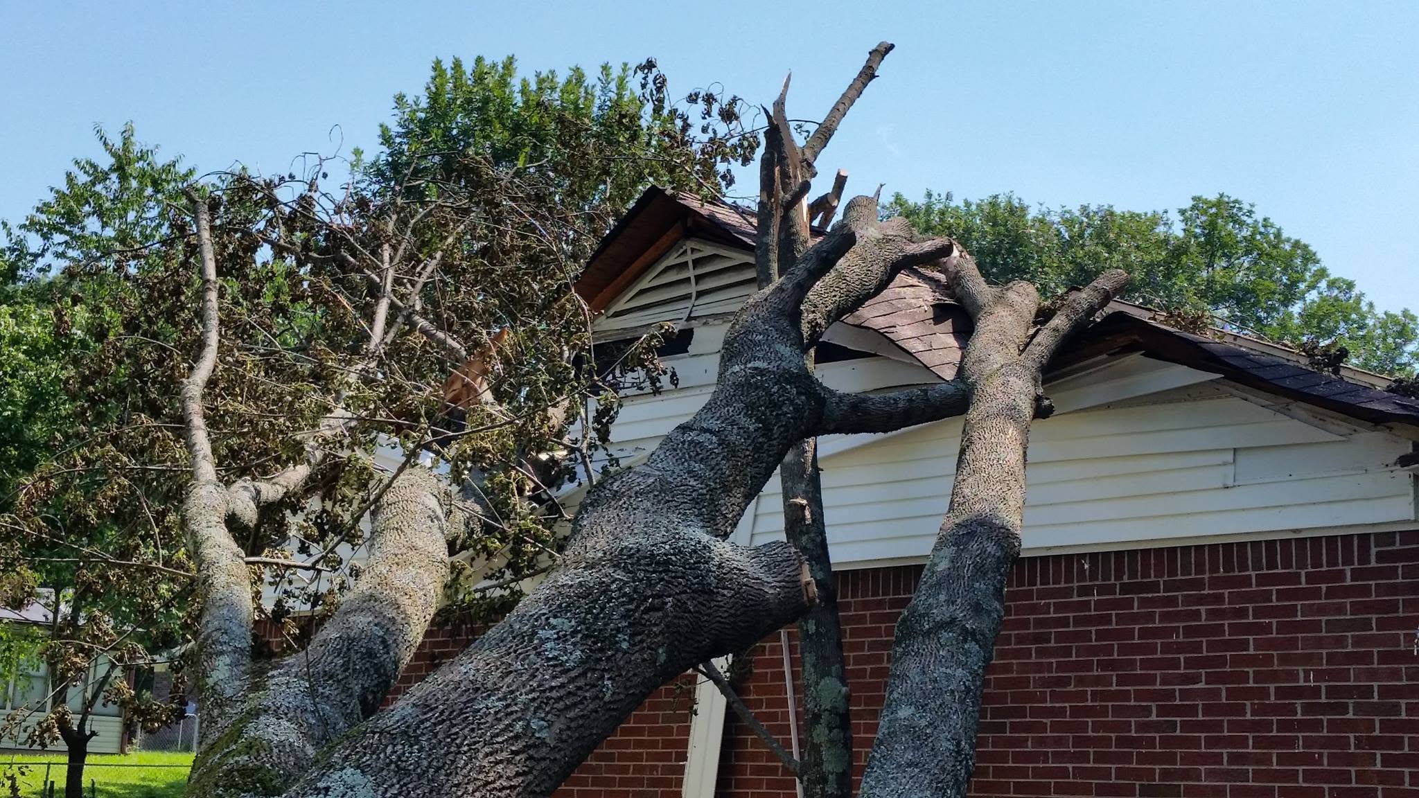 Storm and fallen-tree damage to a roof