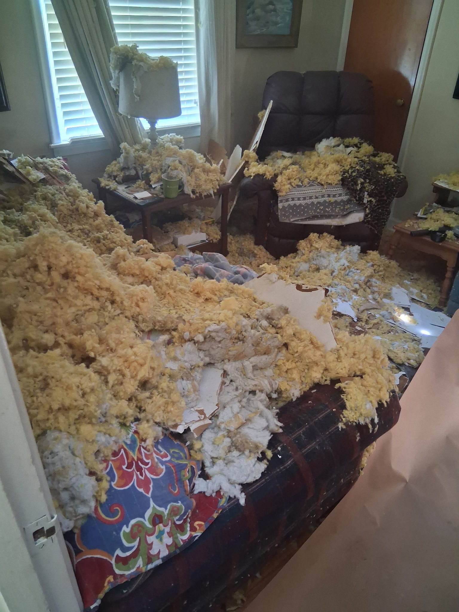 Blown-in insulation scattered across a room after the roof was breached