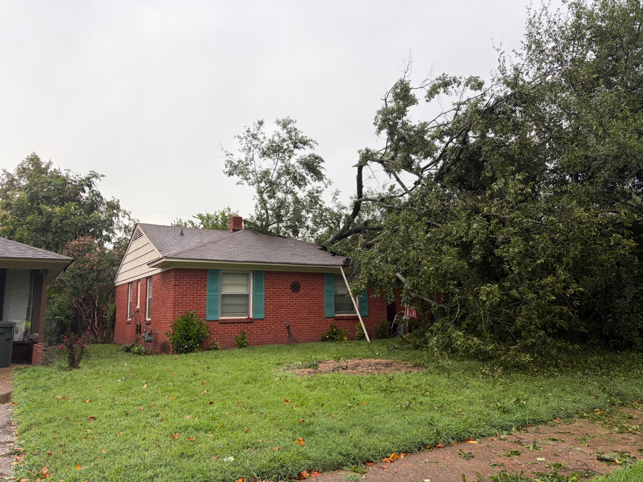 A large tree toppled onto a Memphis brick home after the wind storm