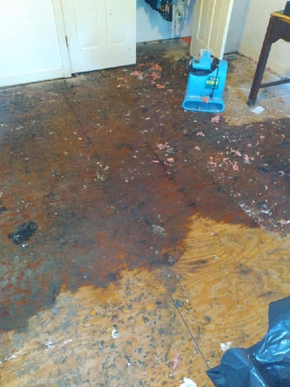 Mold and moisture damage behind building materials